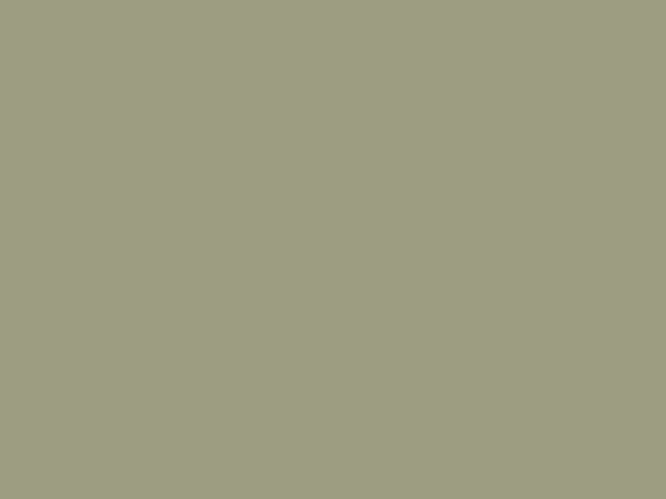 Sage Leaf (PM779) cabinet finish sample