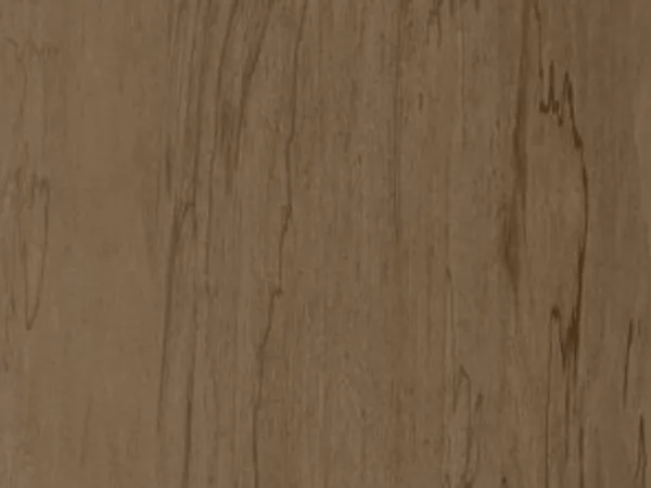 Salt Of The Earth (L589) cabinet finish sample